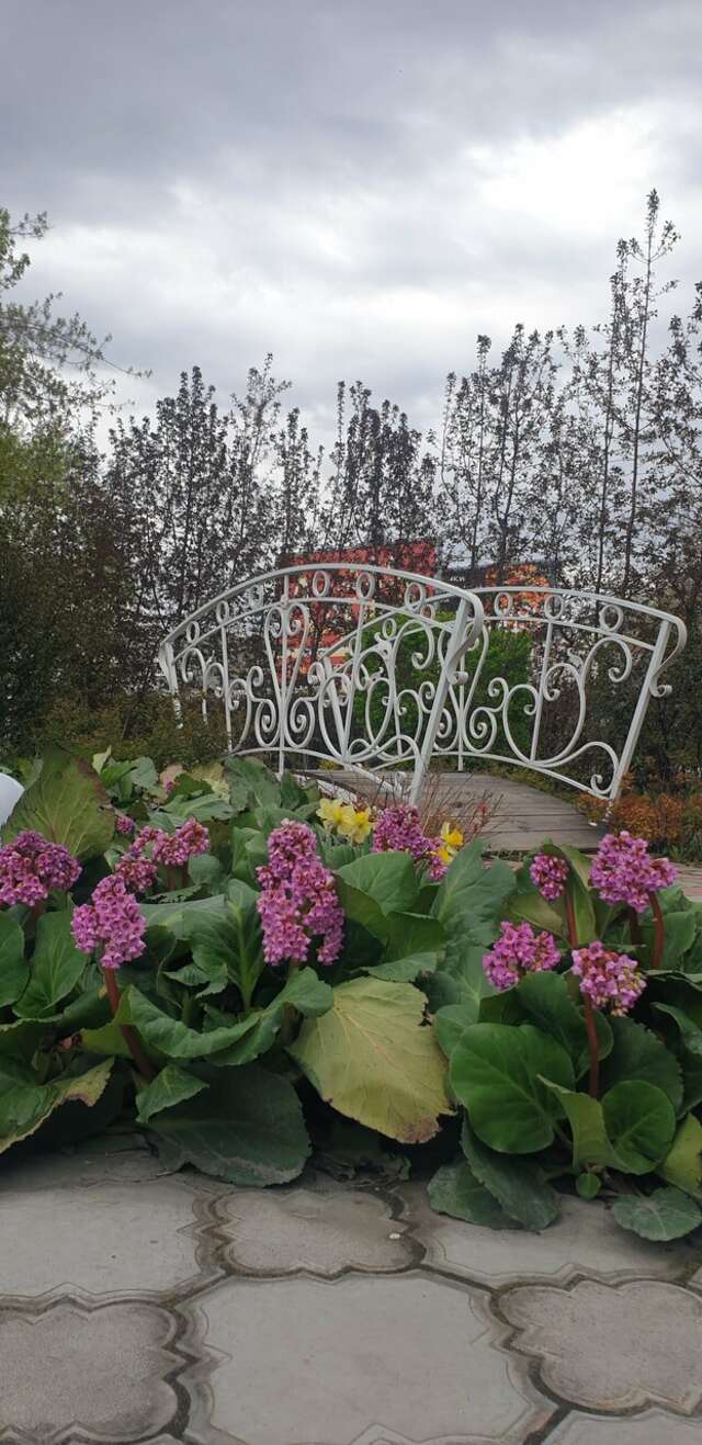 Гостиница Лагуна Тюмень-87